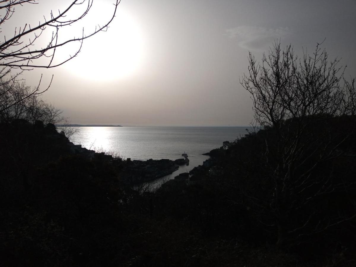شقة West Looe Downs المظهر الخارجي الصورة
